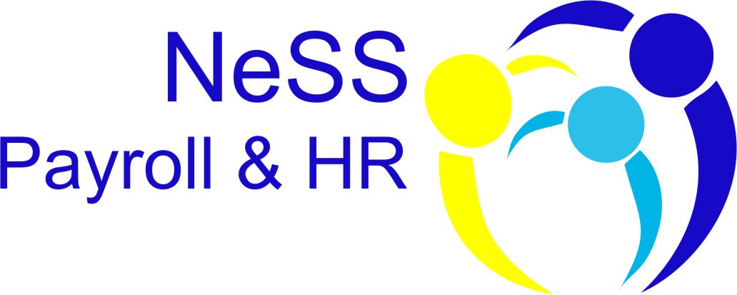 NeSS Payroll & HR Virtual Assistant