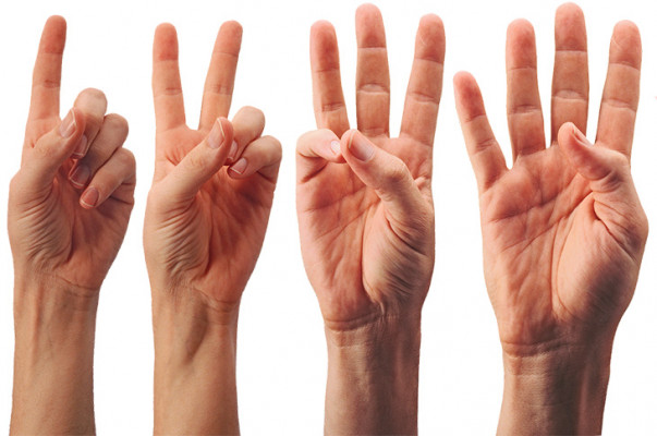 7 Essential Accounting Tips for Small Businesses (US)