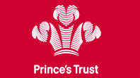 Prince's Trust Enterprise