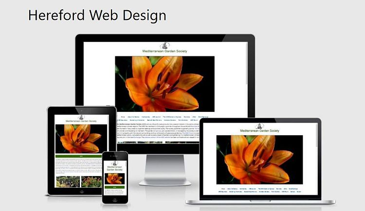 Hereford Web Design