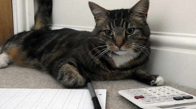 Sarah Goddard, Chartered Accountants